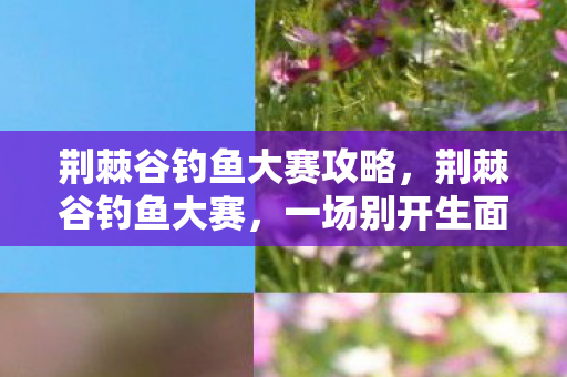荆棘谷钓鱼大赛攻略，荆棘谷钓鱼大赛，一场别开生面的垂钓盛宴
