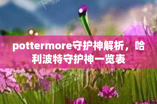 pottermore守护神解析，哈利波特守护神一览表