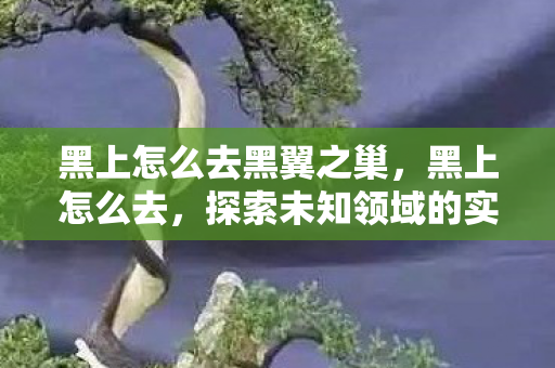 黑上怎么去黑翼之巢，黑上怎么去，探索未知领域的实用指南