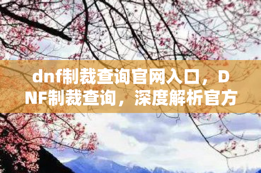dnf制裁查询官网入口，DNF制裁查询，深度解析官方制裁机制与玩家应对策略