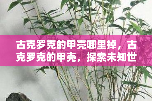 古克罗克的甲壳哪里掉,古克罗克的甲壳,探索未知世界的神秘盾牌 古克罗克的甲壳哪里掉,古克罗克的甲壳,探索未知世界的神秘盾牌