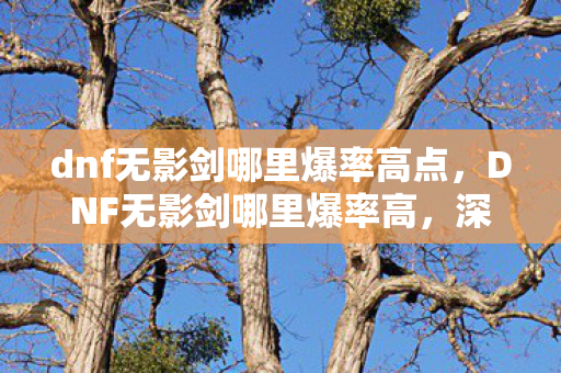 dnf无影剑哪里爆率高点，DNF无影剑哪里爆率高，深度解析与攻略