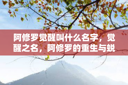 阿修罗觉醒叫什么名字，觉醒之名，阿修罗的重生与蜕变