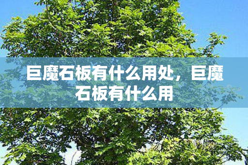 巨魔石板有什么用处，巨魔石板有什么用
