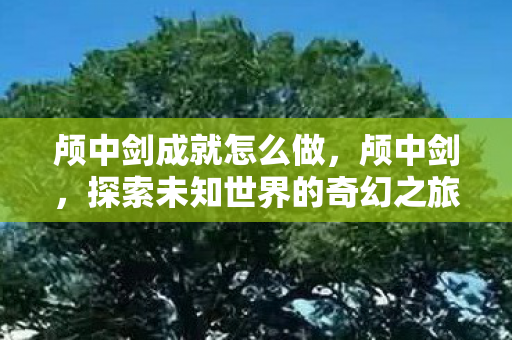颅中剑成就怎么做，颅中剑，探索未知世界的奇幻之旅