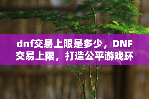 dnf交易上限是多少，DNF交易上限，打造公平游戏环境的关键