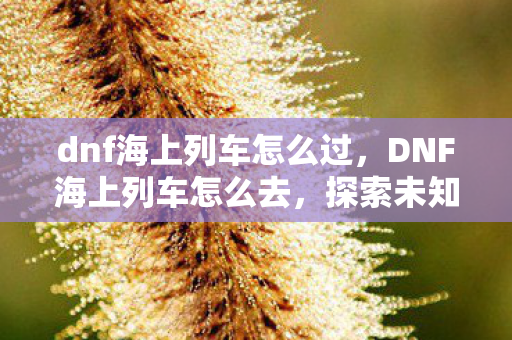 dnf海上列车怎么过，DNF海上列车怎么去，探索未知海域的奇幻旅程
