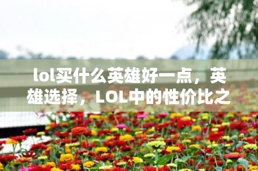 lol买什么英雄好一点，英雄选择，LOL中的性价比之选