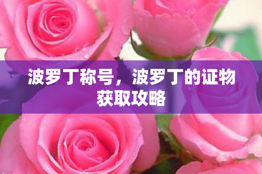 波罗丁称号，波罗丁的证物获取攻略