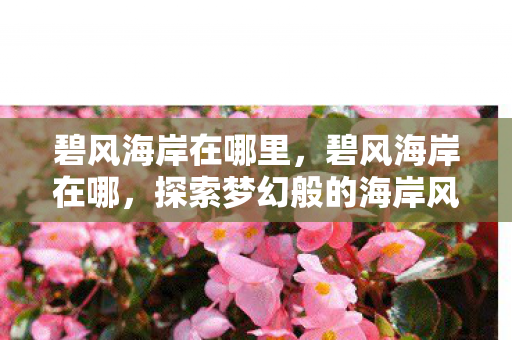 碧风海岸在哪里,碧风海岸在哪,探索梦幻般的海岸风光 碧风海岸在哪里,碧风海岸在哪,探索梦幻般的海岸风光