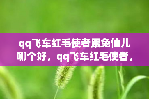 qq飞车红毛使者跟兔仙儿哪个好,qq飞车红毛使者,探索游戏内的神秘角色与独特魅力 qq飞车红毛使者跟兔仙儿哪个好,qq飞车红毛使者,探索游戏内的神秘角色与独特魅力