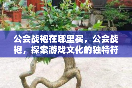 公会战袍在哪里买，公会战袍，探索游戏文化的独特符号