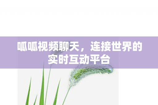 呱呱视频聊天,连接世界的实时互动平台 呱呱视频聊天,连接世界的实时互动平台