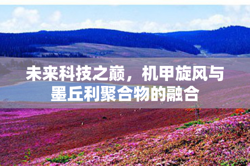 未来科技之巅，机甲旋风与墨丘利聚合物的融合