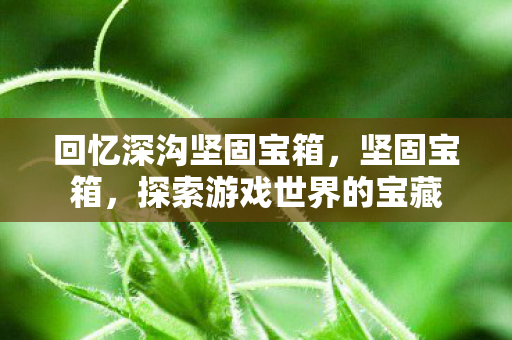 回忆深沟坚固宝箱，坚固宝箱，探索游戏世界的宝藏