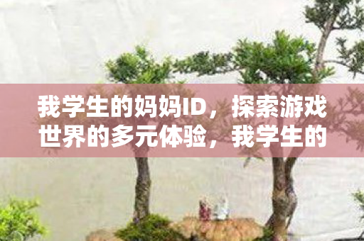 我学生的妈妈ID，探索游戏世界的多元体验，我学生的妈妈ID与游戏私服的魅力