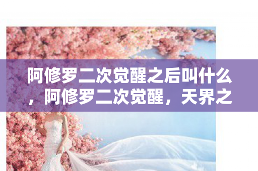 阿修罗二次觉醒之后叫什么,阿修罗二次觉醒,天界之怒 阿修罗二次觉醒之后叫什么,阿修罗二次觉醒,天界之怒