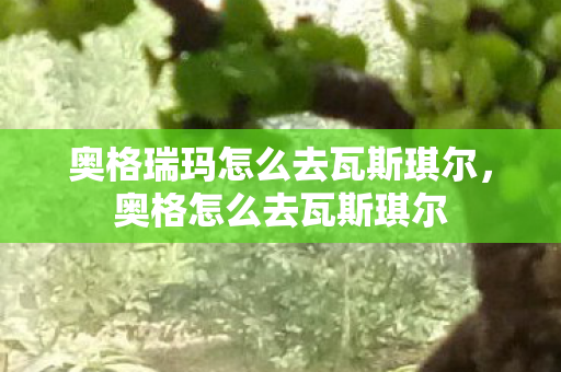 奥格瑞玛怎么去瓦斯琪尔，奥格怎么去瓦斯琪尔
