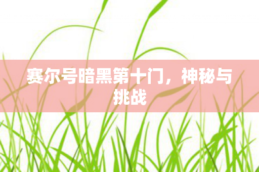 赛尔号暗黑第十门，神秘与挑战