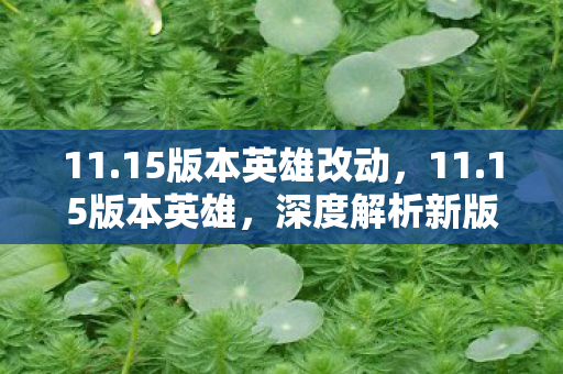 11.15版本英雄改动,11.15版本英雄,深度解析新版本中的英雄变革与战术创新 11.15版本英雄改动,11.15版本英雄,深度解析新版本中的英雄变革与战术创新