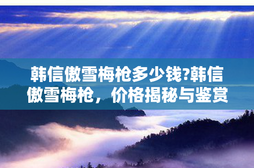 韩信傲雪梅枪多少钱?韩信傲雪梅枪，价格揭秘与鉴赏