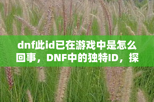 dnf此id已在游戏中是怎么回事，DNF中的独特ID，探索游戏中的个性化与归属感