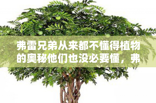 弗雷兄弟从来都不懂得植物的奥秘他们也没必要懂,弗雷兄弟与植物的奥秘,探索自然界的未知领域 弗雷兄弟从来都不懂得植物的奥秘他们也没必要懂,弗雷兄弟与植物的奥秘,探索自然界的未知领域
