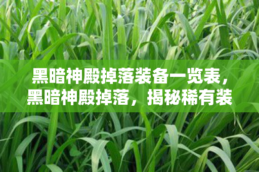 黑暗神殿掉落装备一览表,黑暗神殿掉落,揭秘稀有装备的神秘来源 黑暗神殿掉落装备一览表,黑暗神殿掉落,揭秘稀有装备的神秘来源