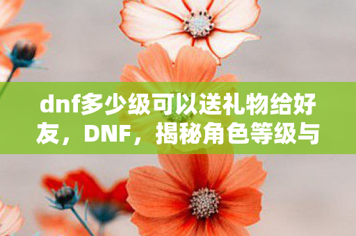 dnf多少级可以送礼物给好友,DNF,揭秘角色等级与赠送礼物的奇妙缘分 dnf多少级可以送礼物给好友,DNF,揭秘角色等级与赠送礼物的奇妙缘分