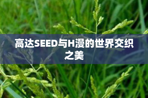 高达SEED与H漫的世界交织之美