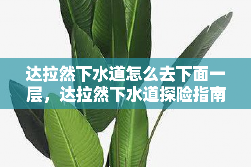 达拉然下水道怎么去下面一层,达拉然下水道探险指南,揭秘魔兽世界的隐秘之地 达拉然下水道怎么去下面一层,达拉然下水道探险指南,揭秘魔兽世界的隐秘之地