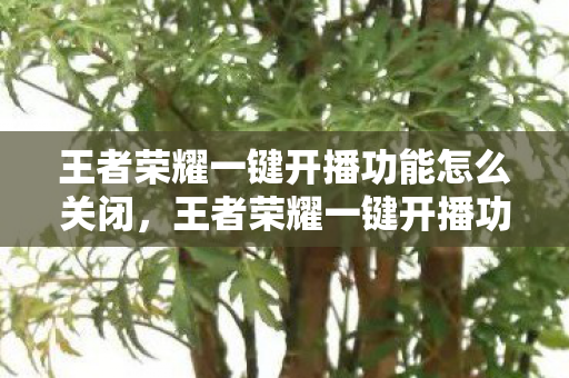 王者荣耀一键开播功能怎么关闭,王者荣耀一键开播功能,便捷高效,开启全民直播新篇章 王者荣耀一键开播功能怎么关闭,王者荣耀一键开播功能,便捷高效,开启全民直播新篇章