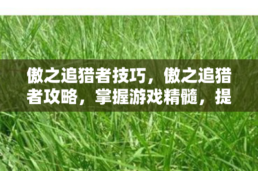 傲之追猎者技巧，傲之追猎者攻略，掌握游戏精髓，提升狩猎效率