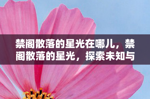 禁阁散落的星光在哪儿,禁阁散落的星光,探索未知与奇幻的旅程 禁阁散落的星光在哪儿,禁阁散落的星光,探索未知与奇幻的旅程