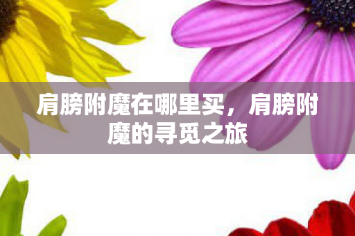 肩膀附魔在哪里买,肩膀附魔的寻觅之旅 肩膀附魔在哪里买,肩膀附魔的寻觅之旅