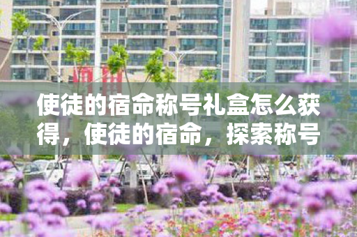 使徒的宿命称号礼盒怎么获得,使徒的宿命,探索称号礼盒的奇幻之旅 使徒的宿命称号礼盒怎么获得,使徒的宿命,探索称号礼盒的奇幻之旅