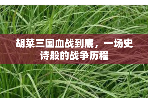 胡莱三国血战到底，一场史诗般的战争历程