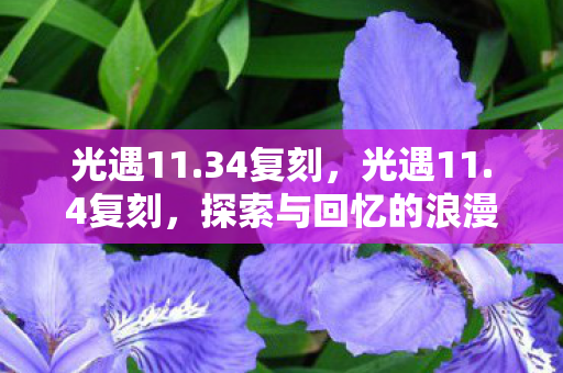 光遇11.34复刻，光遇11.4复刻，探索与回忆的浪漫之旅