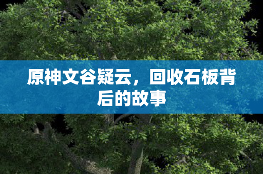 原神文谷疑云，回收石板背后的故事