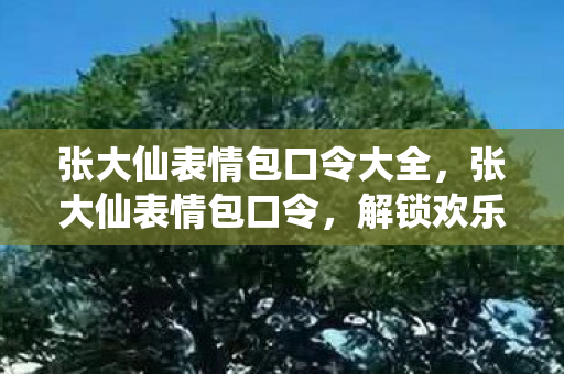 张大仙表情包口令大全，张大仙表情包口令，解锁欢乐互动新方式
