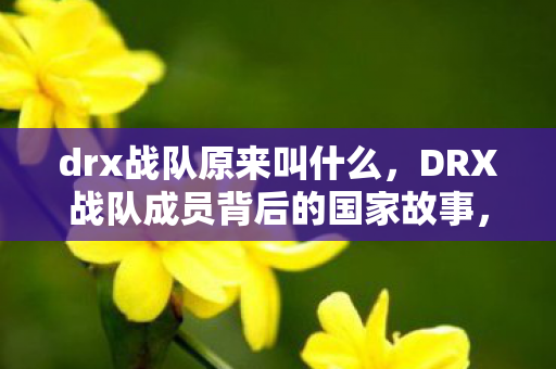 drx战队原来叫什么，DRX战队成员背后的国家故事，探索多元文化的电竞力量
