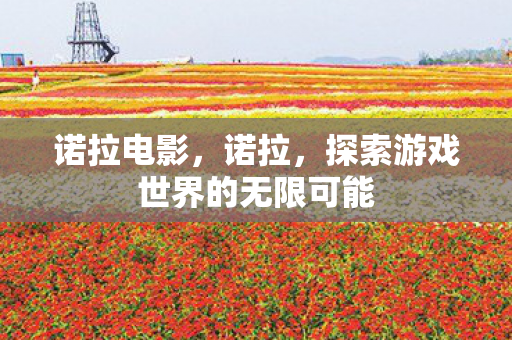 诺拉电影,诺拉,探索游戏世界的无限可能 诺拉电影,诺拉,探索游戏世界的无限可能