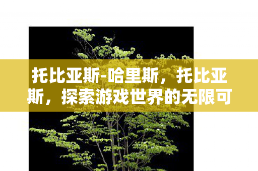 托比亚斯-哈里斯,托比亚斯,探索游戏世界的无限可能 托比亚斯-哈里斯,托比亚斯,探索游戏世界的无限可能
