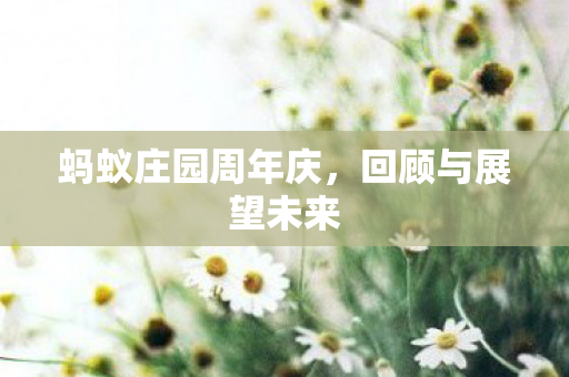 蚂蚁庄园周年庆，回顾与展望未来