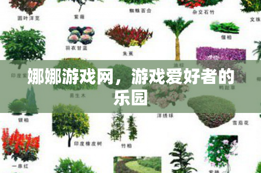 娜娜游戏网，游戏爱好者的乐园