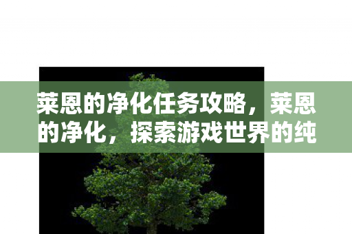 莱恩的净化任务攻略，莱恩的净化，探索游戏世界的纯净之旅