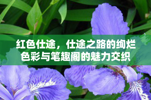 红色仕途，仕途之路的绚烂色彩与笔趣阁的魅力交织