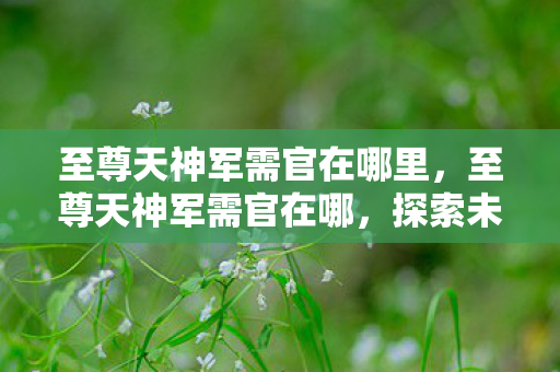 至尊天神军需官在哪里，至尊天神军需官在哪，探索未知领域的神秘之旅