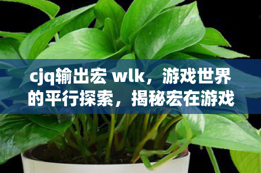cjq输出宏 wlk，游戏世界的平行探索，揭秘宏在游戏中的无限可能
