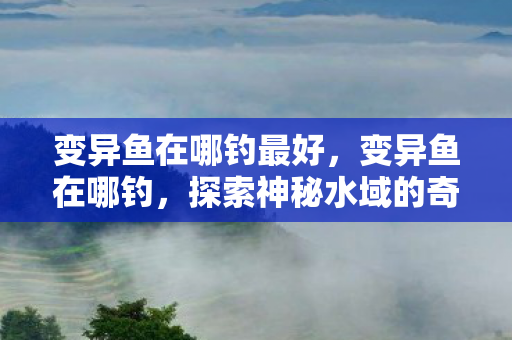 变异鱼在哪钓最好，变异鱼在哪钓，探索神秘水域的奇幻之旅